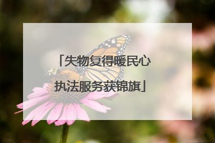 失物复得暖民心 执法服务获锦旗