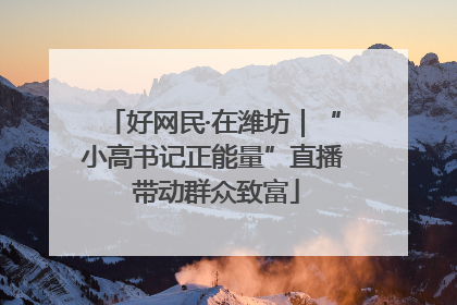 好网民·在潍坊｜“小高书记正能量”直播 带动群众致富