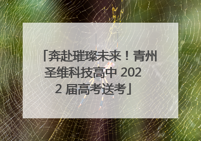 奔赴璀璨未来！青州圣维科技高中 2022 届高考送考