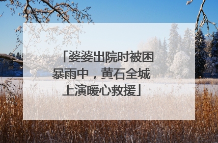 婆婆出院时被困暴雨中，黄石全城上演暖心救援