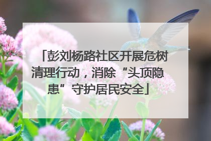 彭刘杨路社区开展危树清理行动，消除“头顶隐患”守护居民安全