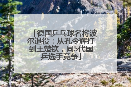 德国乒乓球名将波尔退役：从孔令辉打到王楚钦，同5代国乒选手竞争