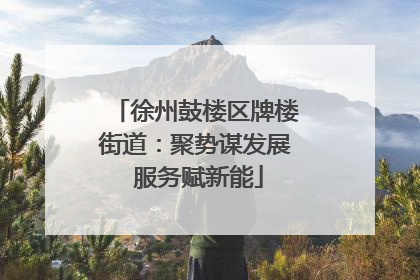 徐州鼓楼区牌楼街道：聚势谋发展 服务赋新能