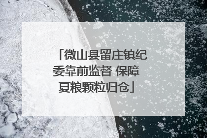 微山县留庄镇纪委靠前监督 保障夏粮颗粒归仓