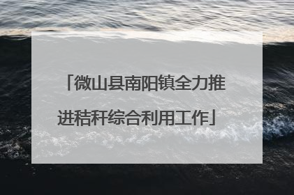 微山县南阳镇全力推进秸秆综合利用工作