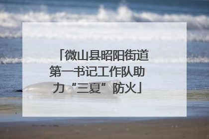 微山县昭阳街道第一书记工作队助力“三夏”防火