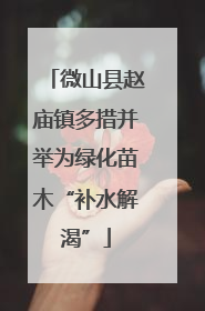 微山县赵庙镇多措并举为绿化苗木“补水解渴”