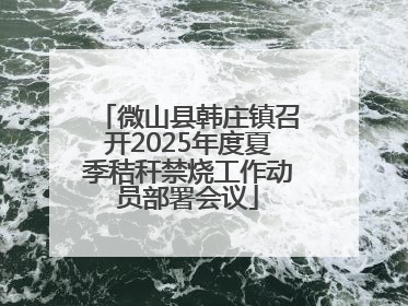 微山县韩庄镇召开2025年度夏季秸秆禁烧工作动员部署会议