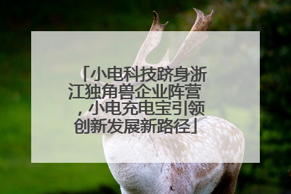 小电科技跻身浙江独角兽企业阵营，小电充电宝引领创新发展新路径