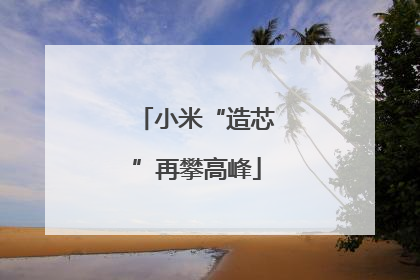 小米“造芯”再攀高峰