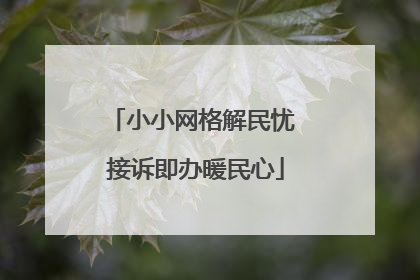 小小网格解民忧 接诉即办暖民心