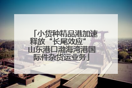 小货种精品港加速释放“长尾效应” 山东港口渤海湾港国际件杂货运业务