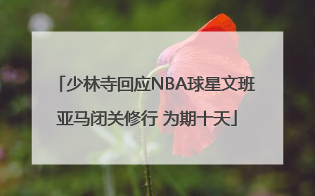 少林寺回应NBA球星文班亚马闭关修行 为期十天