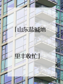 山东盐碱地里丰收忙