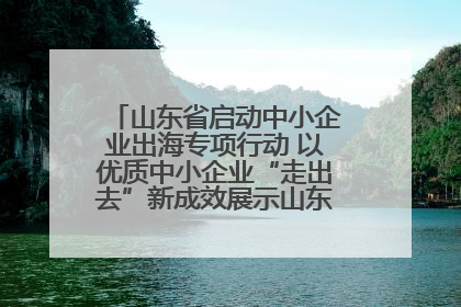 山东省启动中小企业出海专项行动 以优质中小企业“走出去”新成效展示山东产业发展新形象