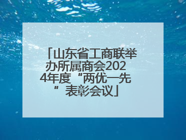 山东省工商联举办所属商会2024年度“两优一先”表彰会议