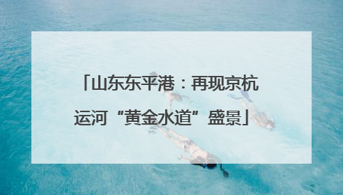 山东东平港：再现京杭运河“黄金水道”盛景