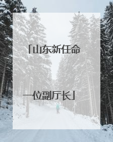山东新任命一位副厅长