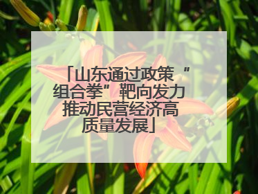 山东通过政策“组合拳”靶向发力 推动民营经济高质量发展