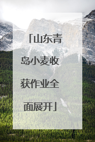 山东青岛小麦收获作业全面展开