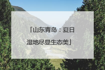 山东青岛：夏日湿地尽显生态美