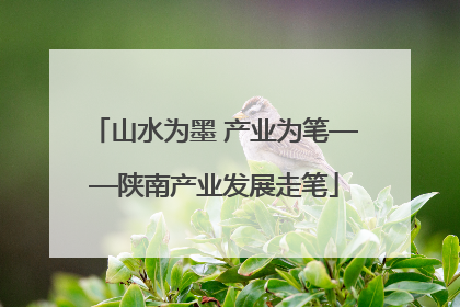 山水为墨 产业为笔——陕南产业发展走笔