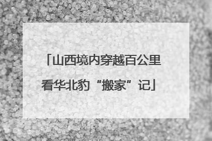 山西境内穿越百公里 看华北豹“搬家”记