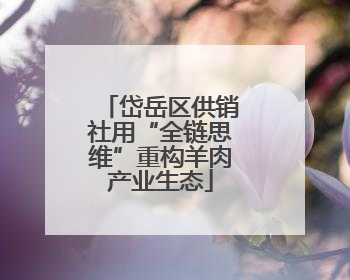 岱岳区供销社用“全链思维”重构羊肉产业生态