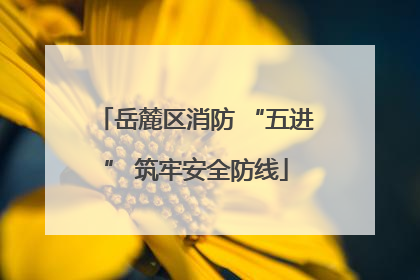 岳麓区消防 “五进” 筑牢安全防线
