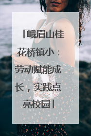 峨眉山桂花桥镇小：劳动赋能成长，实践点亮校园