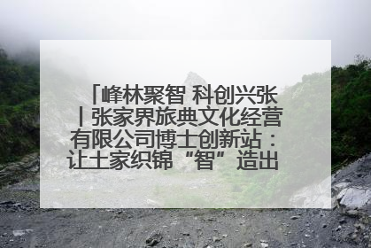 峰林聚智 科创兴张丨张家界旅典文化经营有限公司博士创新站：让土家织锦“智”造出非遗新传奇