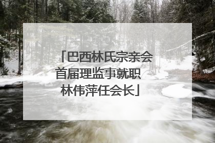 巴西林氏宗亲会首届理监事就职 林伟萍任会长