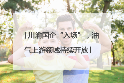 川渝国企“入场”，油气上游领域持续开放