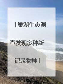 巢湖生态调查发现多种新记录物种