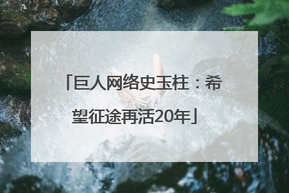 巨人网络史玉柱：希望征途再活20年