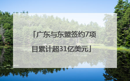 广东与东盟签约7项目累计超31亿美元