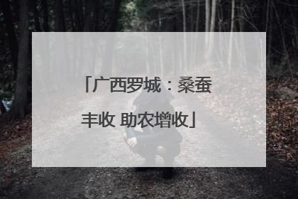 广西罗城：桑蚕丰收 助农增收