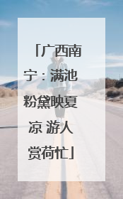 广西南宁：满池粉黛映夏凉 游人赏荷忙