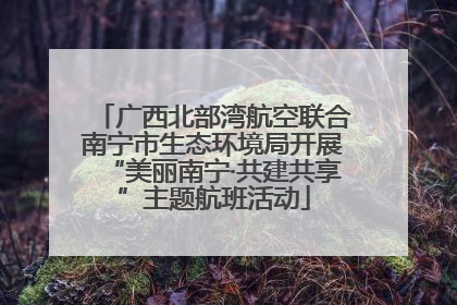 广西北部湾航空联合南宁市生态环境局开展“美丽南宁·共建共享”主题航班活动