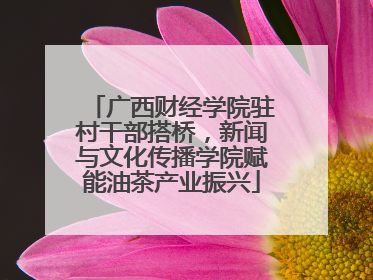 广西财经学院驻村干部搭桥，新闻与文化传播学院赋能油茶产业振兴