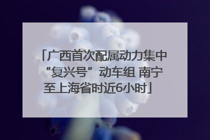 广西首次配属动力集中“复兴号”动车组 南宁至上海省时近6小时