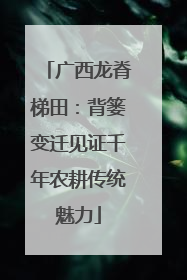 广西龙脊梯田：背篓变迁见证千年农耕传统魅力
