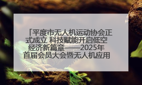 平度市无人机运动协会正式成立 科技赋能开启低空经济新篇章——2025年首届会员大会暨无人机应用发展论坛成功举办