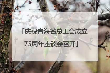 庆祝青海省总工会成立75周年座谈会召开