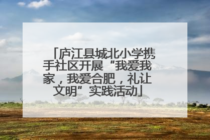 庐江县城北小学携手社区开展“我爱我家，我爱合肥，礼让文明”实践活动