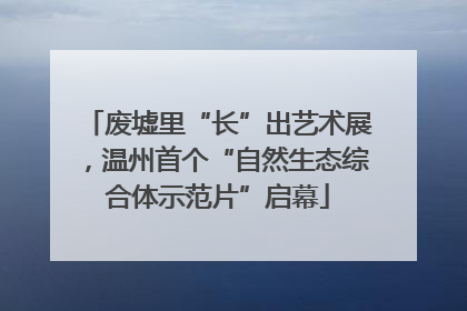 废墟里“长”出艺术展，温州首个“自然生态综合体示范片”启幕