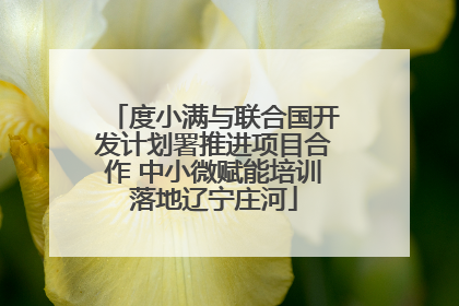 度小满与联合国开发计划署推进项目合作 中小微赋能培训落地辽宁庄河
