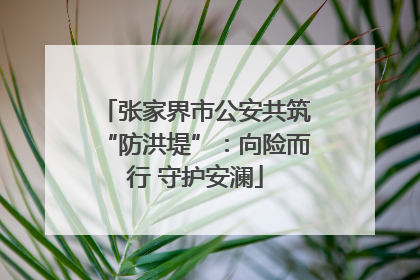 张家界市公安共筑“防洪堤”：向险而行 守护安澜