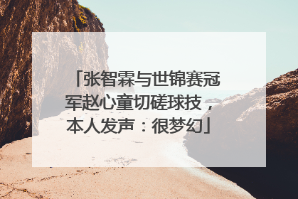 张智霖与世锦赛冠军赵心童切磋球技，本人发声：很梦幻