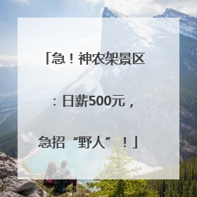 急！神农架景区：日薪500元，急招“野人”！